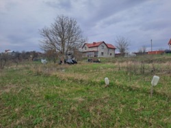 ������. �������� ������. ������������� �-� � ������� ���� 1