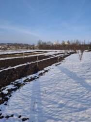 ������ �������� ������ �� �������� �.����� ���� 1