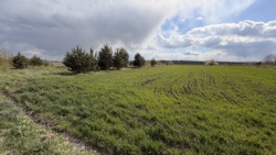 ������ �������� ������ 15 �����, ����� ����� ���� 2