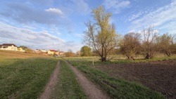 ��������� �������� ������ � �������� ���������. ���� 5