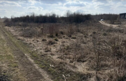 ������ �������� ������, ����� 29 �����, ����� �� ���� 3