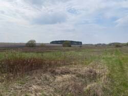 ��������� �������� ������ �� �������� � �. ����������� ���� 8