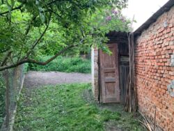 ������ �������� ������ 7 ����� � �������� �� ������ ������ ���� 10