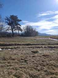 ������ �������� ������ ���� 3