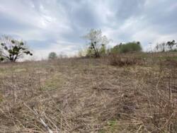 ������ �������� ������ �� ���������� �.��������� ���� 7