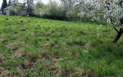 ������ �������� ������ �� ������� ��������, ����� 13 �����, ����� �� ���� 8