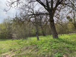 ������ �������� ������ �� �������� �.��������� ���� 2