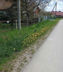 ������ �������� ������ �� ������� ��������, ����� 13 �����, ����� �� ���� 14