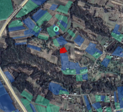 ������ �������� ������ �� �������� �.��������� ���� 11