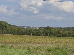 Продаж земельної ділянки під забудову, 6 сот. Сади Ветеранів АТО фото 11 Продаж земельної ділянки під забудову, 6 сот. Сади Ветеранів АТО фото 11