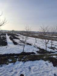 ������ �������� ������ �� �������� �.����� ���� 5