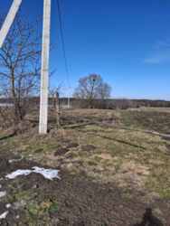 ������ �������� ������ ���� 5