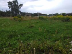 ������ �������� ������ ���� 4