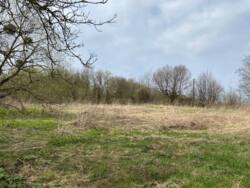 ������ �������� ������ �� �������� �.��������� ���� 8