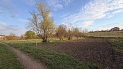 ��������� �������� ������ � �������� ���������. ���� 4