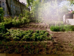 ������ �������� ������ 7 ����� � �������� �� ������ ������ ���� 2