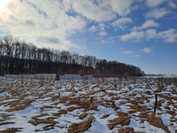 ������ �������� ������ � �. ����� �� 10 ����� ���� 10