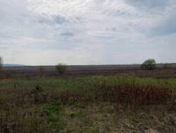 ��������� �������� ������ �� �������� � �. ����������� ���� 10