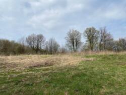 ������ �������� ������ �� �������� �.��������� ���� 5