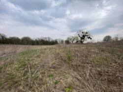 ������ �������� ������ �� ���������� �.��������� ���� 5