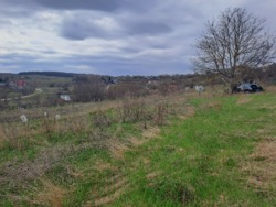 ������. �������� ������. ������������� �-� � ������� ���� 4