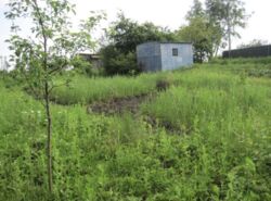 ��������� ����� ������ 6 ���, ����� ������� ���� ���� 1