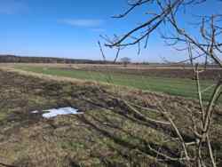 ������ �������� ������ ���� 3