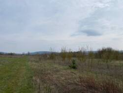 ��������� �������� ������ �� �������� � �. ����������� ���� 12