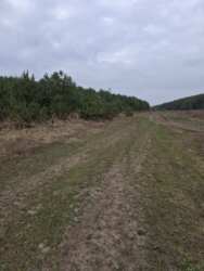 ������ �������� ������ �.����� ���� 4