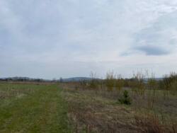 ��������� �������� ������ �� �������� � �. ����������� ���� 13