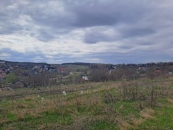 ������. �������� ������. ������������� �-� � ������� ���� 3