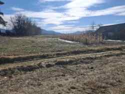 ������ �������� ������ ���� 5