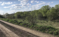 ������ �������� ������ �� ������� ��������, ����� 9.19 �����, ������� ���� 5