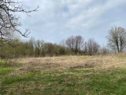 ������ �������� ������ �� �������� �.��������� ���� 4