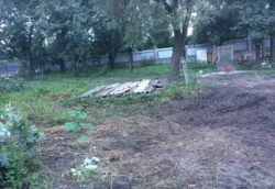 ������ �������� ������ �� ������� ��������, ����� 13 �����, ����� �� ���� 1