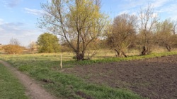 ��������� �������� ������ � �������� ���������. ���� 6