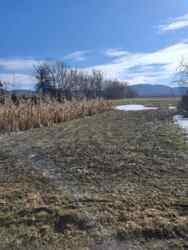 ������ �������� ������ ���� 1