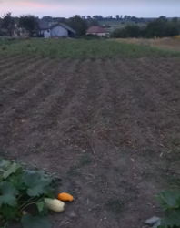      ,  19 ,   3
