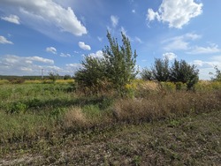 Продаж земельної ділянки під забудову, 6 сот. Сади Ветеранів АТО фото 10 Продаж земельної ділянки під забудову, 6 сот. Сади Ветеранів АТО фото 10