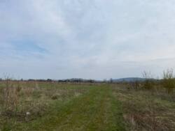 ��������� �������� ������ �� �������� � �. ����������� ���� 5