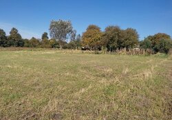 ������ �������� ������ ������� �.��������� ���� 1