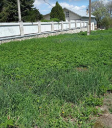 ������ �������� ������ �� ������� ��������, ����� 13 �����, ����� �� ���� 9