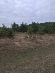 ������ �������� ������ �.����� ���� 5