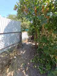 ������ �������� ������ �� �������� ������� ������ ��������� ���� 29