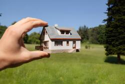 Продаж земельної ділянки с. Великі Бірки фото 1 Продаж земельної ділянки с. Великі Бірки фото 1