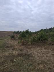 ������ �������� ������ �.����� ���� 3