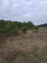 ������ �������� ������ �.����� ���� 6