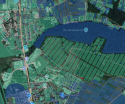 ������ �������� ������ �� ������� ��������, ���. ������������ ���� 4