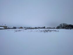 ������ �������� ������ � ��� ����� ���� 3