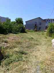 ������ �������� ������ �� �������� ������� ������ ��������� ���� 38